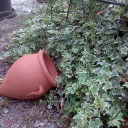 Ria De Ξενοδοχείο *